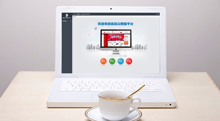 合作库客户查询系统